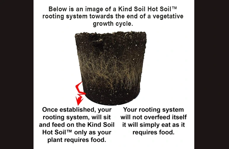 Cross section of a cannabis root ball showing roots growing downward into a bottom third hot super soil layer